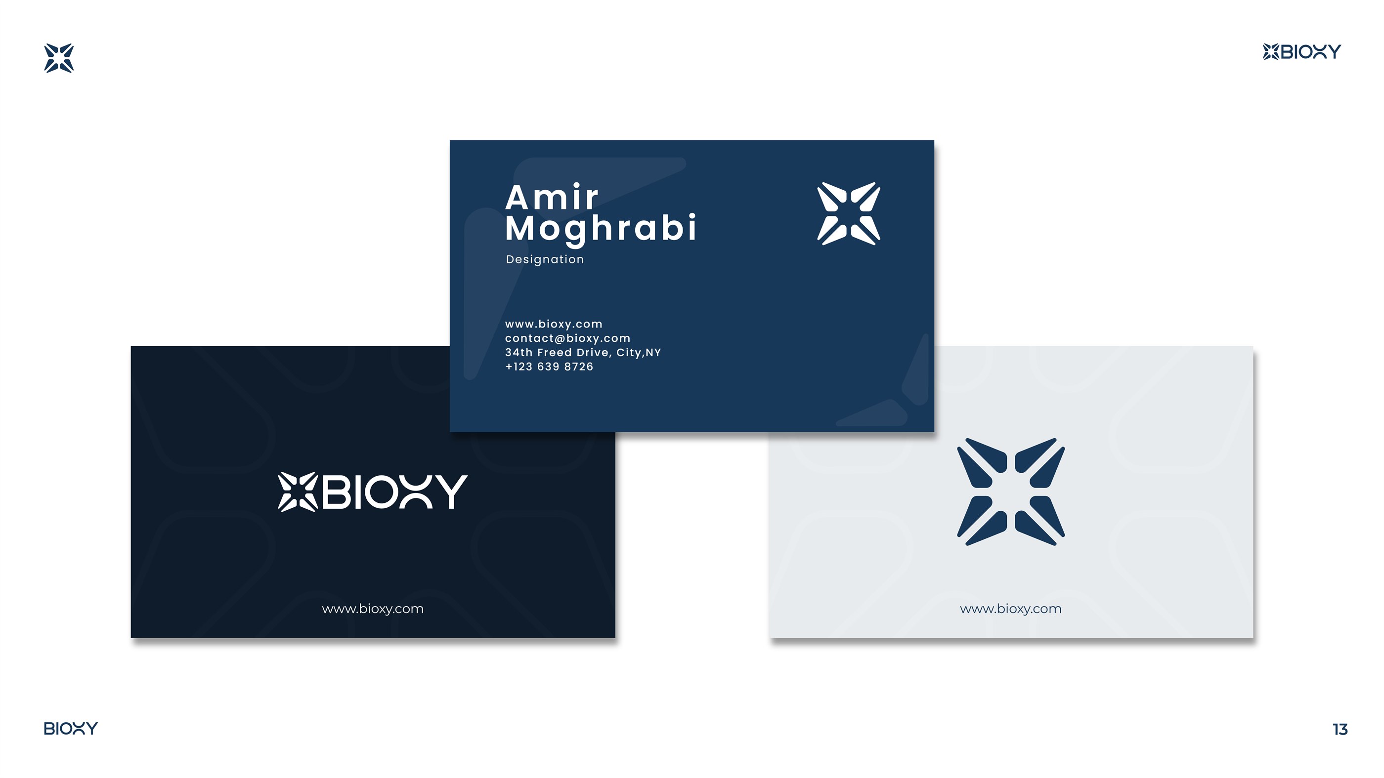 BIOXY — visual presentation slide 14