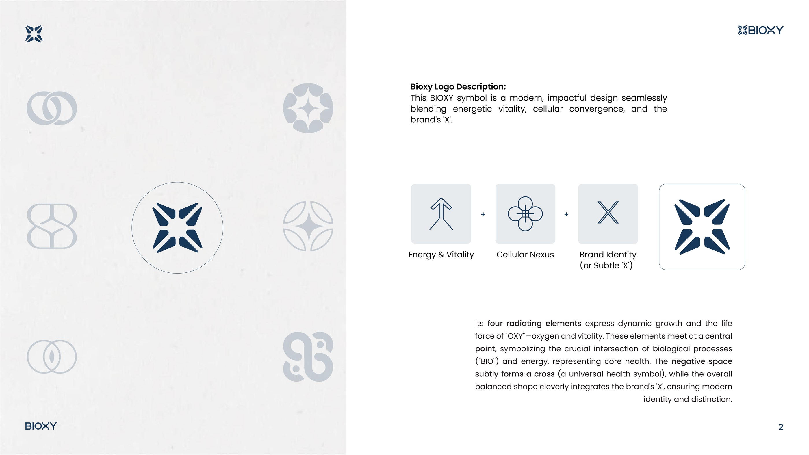 BIOXY — visual presentation slide 3