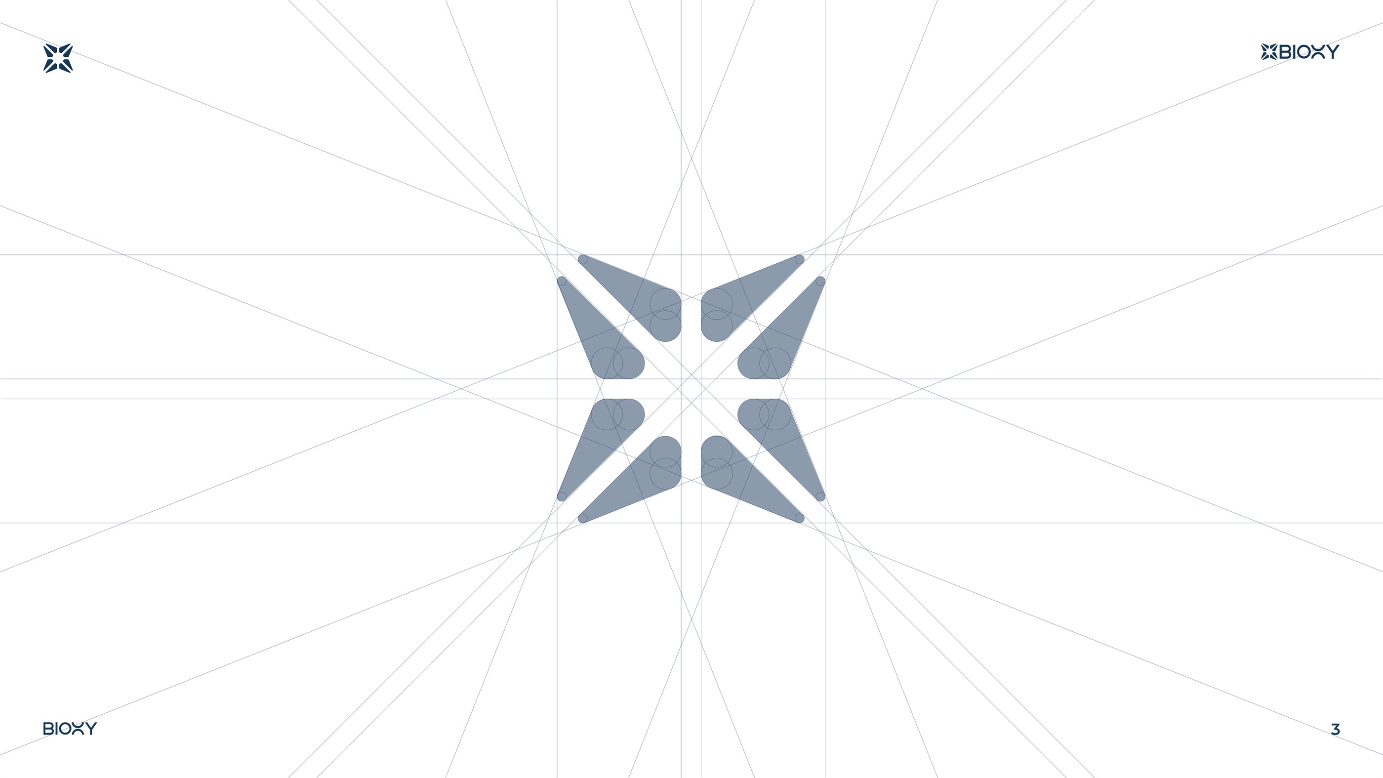 BIOXY — visual presentation slide 4