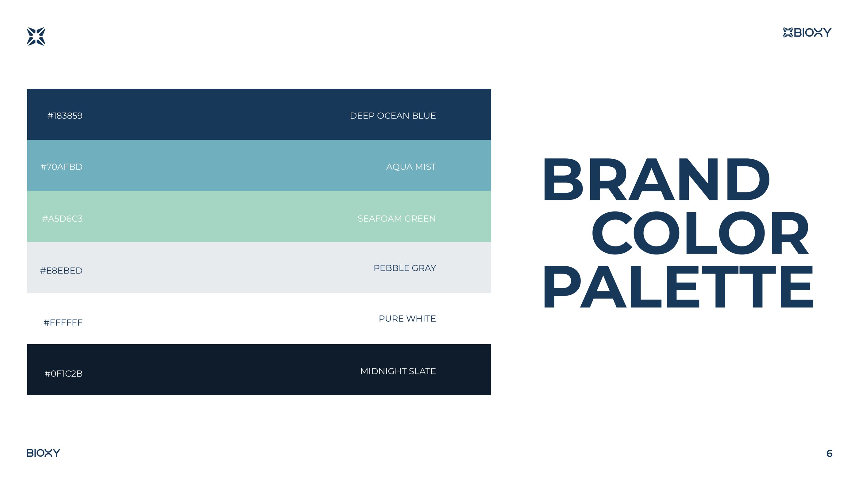 BIOXY — visual presentation slide 7