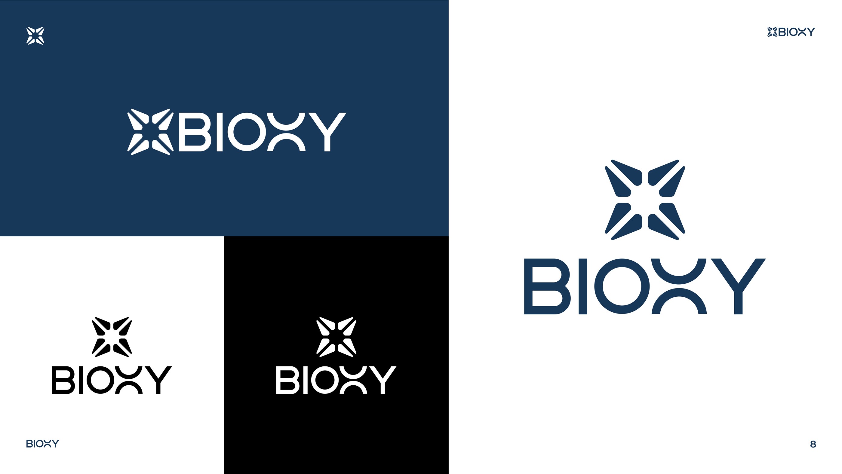 BIOXY — visual presentation slide 9